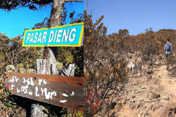 Kisah Pasar di Gunung Lawu Tinggal Dengan Makhluk Dunia Lain