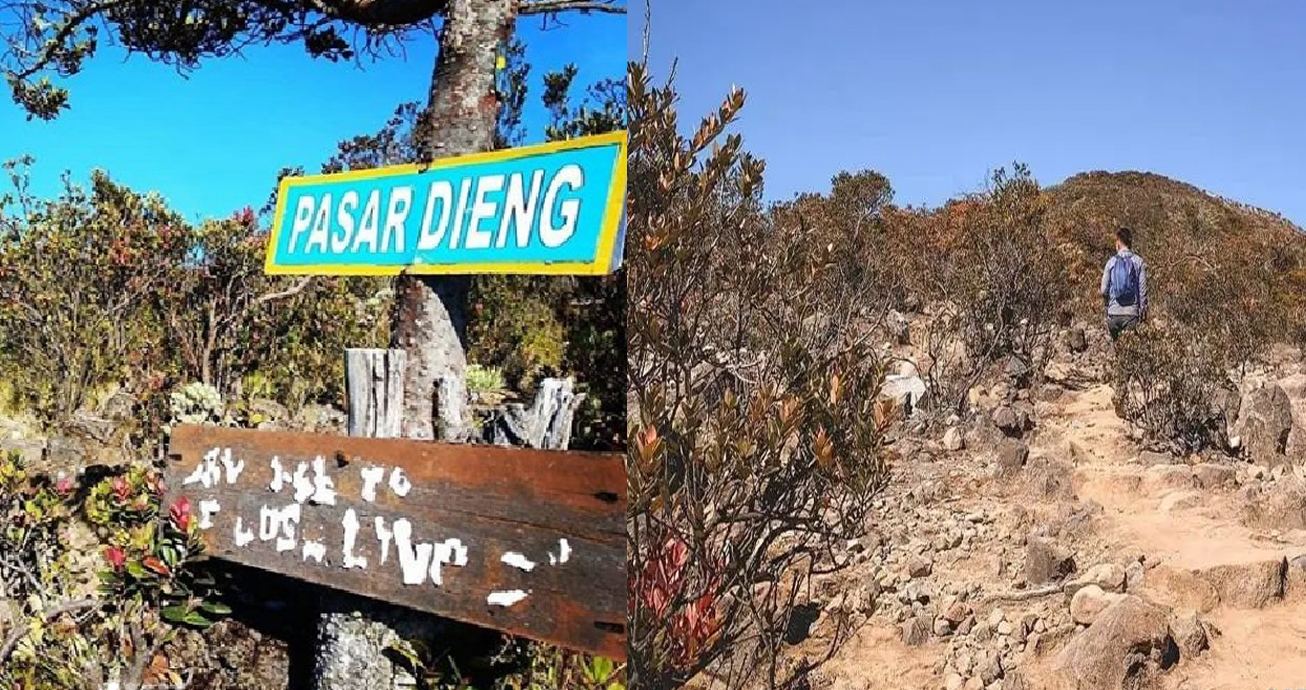 Kisah Pasar di Gunung Lawu Tinggal Dengan Makhluk Dunia Lain