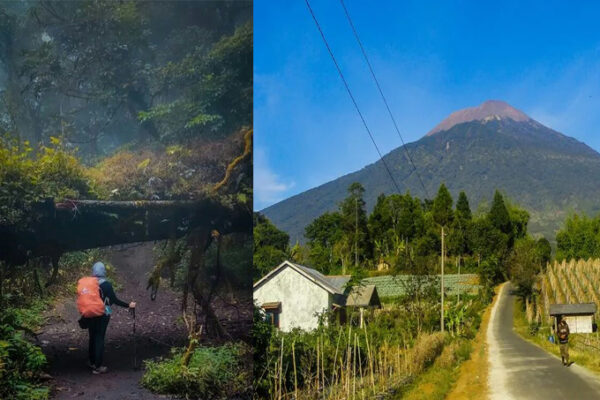 Kerjaan Gaib Gunung Slamet, Tempat Paling Angker di Jawa!!