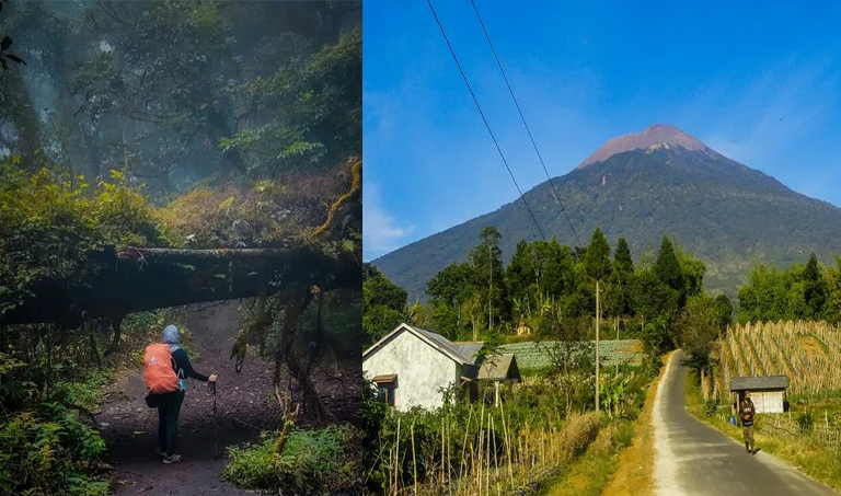 Kerjaan Gaib Gunung Slamet, Tempat Paling Angker di Jawa!!