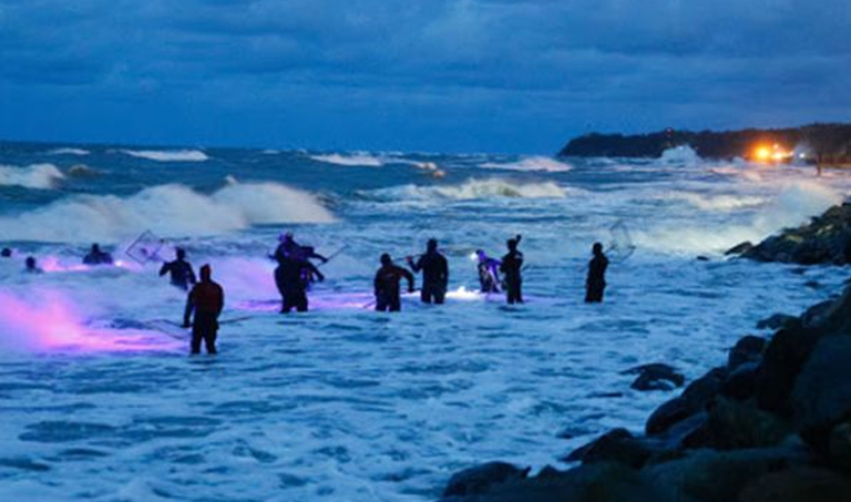 Laut Iblis di Jepang Perairan Paling Angker Didunia!! Simak Kisahnya