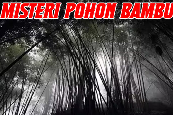 3 Mitos Mengerikan Pohon Bambu yang Tak Banyak Orang Tahu