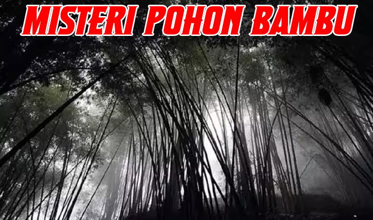 3 Mitos Mengerikan Pohon Bambu yang Tak Banyak Orang Tahu