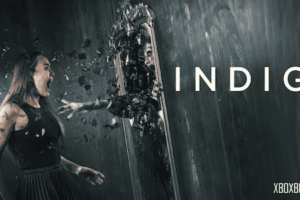 indigo 2